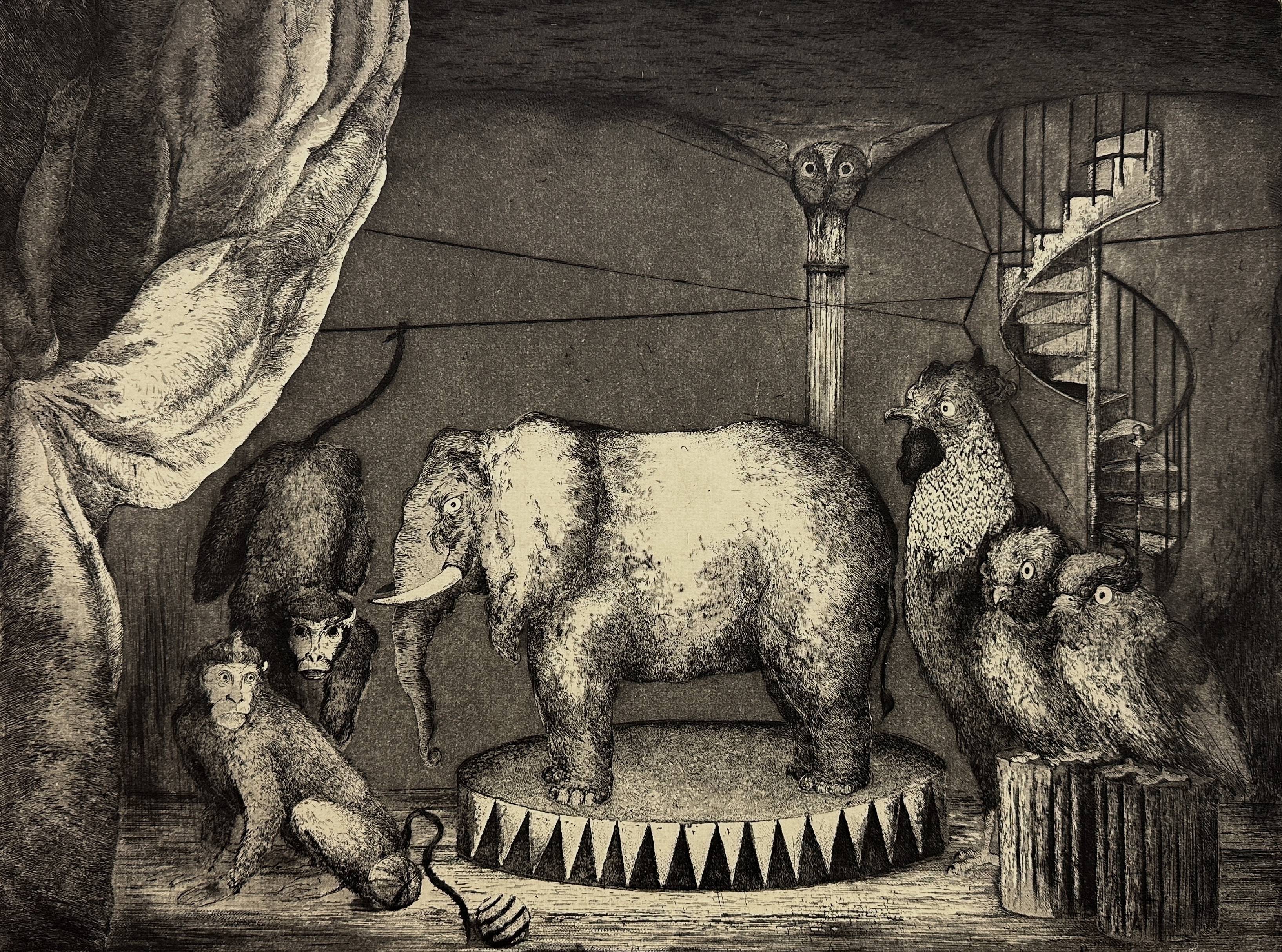 Odyssey of the Elephant #1