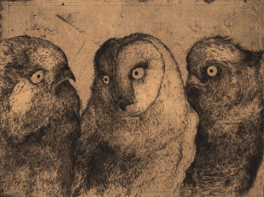Discours d'Oiseaux #2