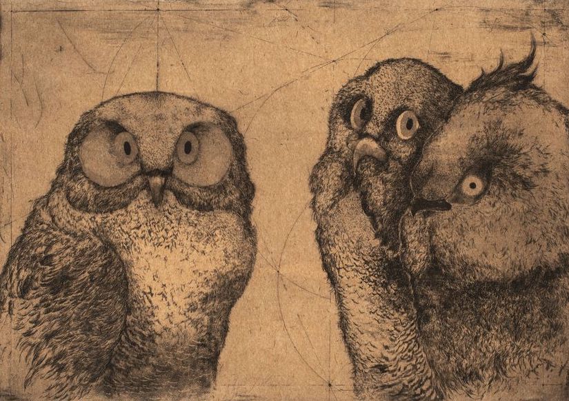 Discours d'Oiseaux #1