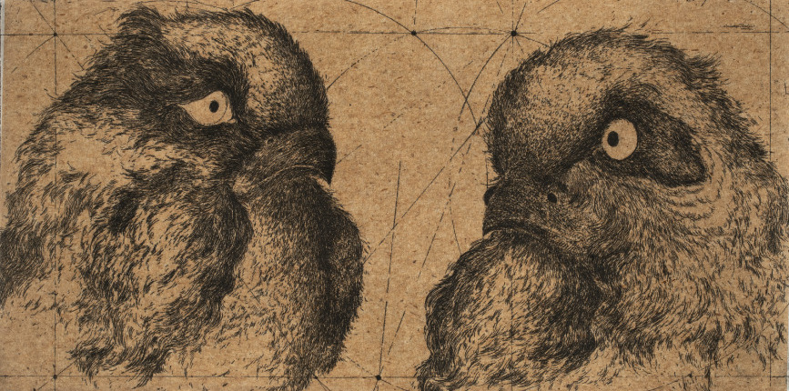 Discours d'Oiseaux #3