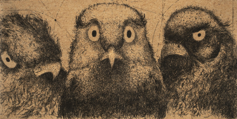 Discours d'oiseaux #5