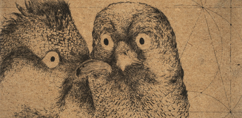 Discours d'Oiseaux #6