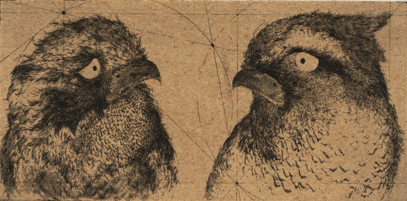 Discours d'Oiseaux #7