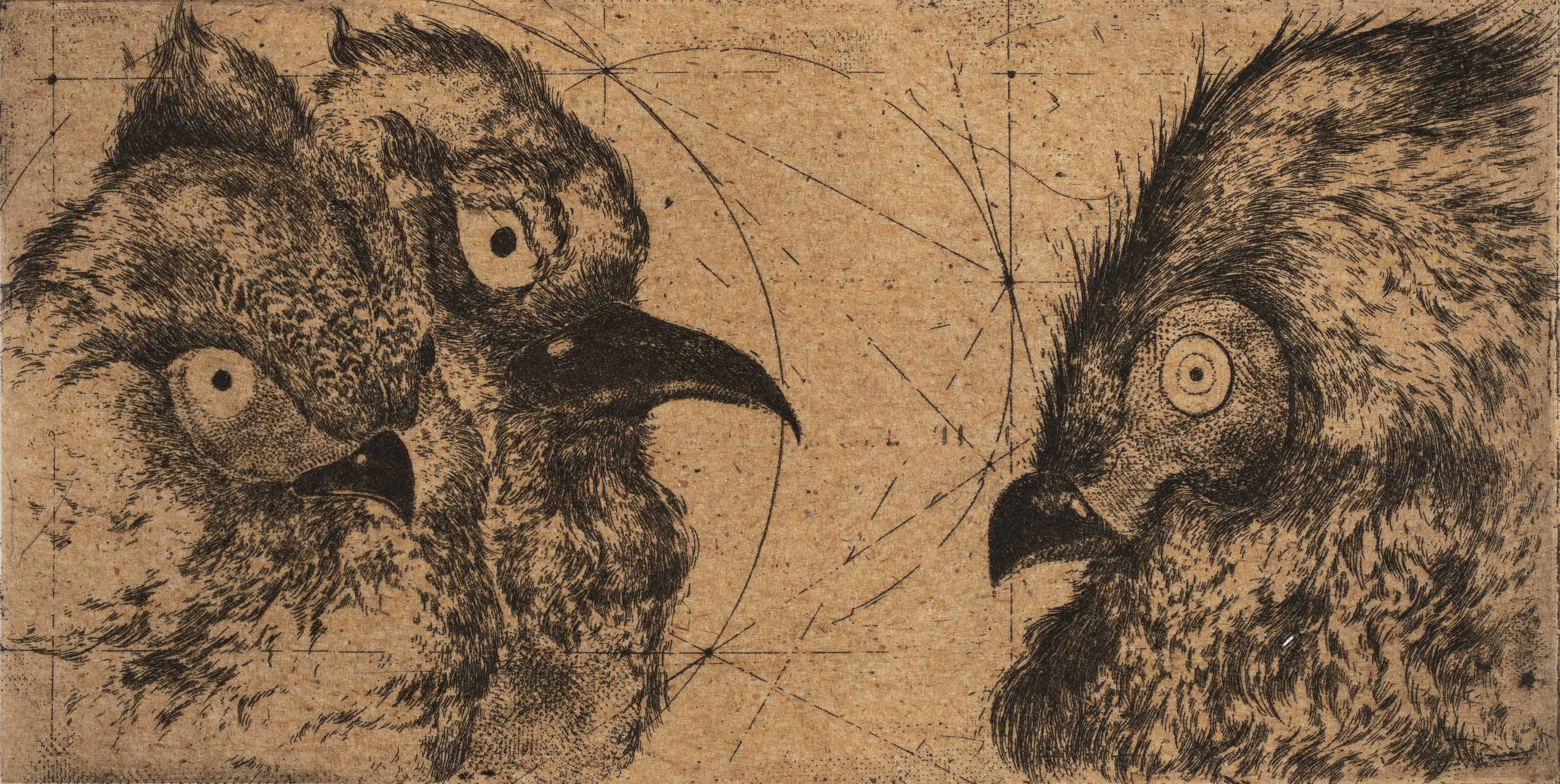 Discours d'Oiseaux #8
