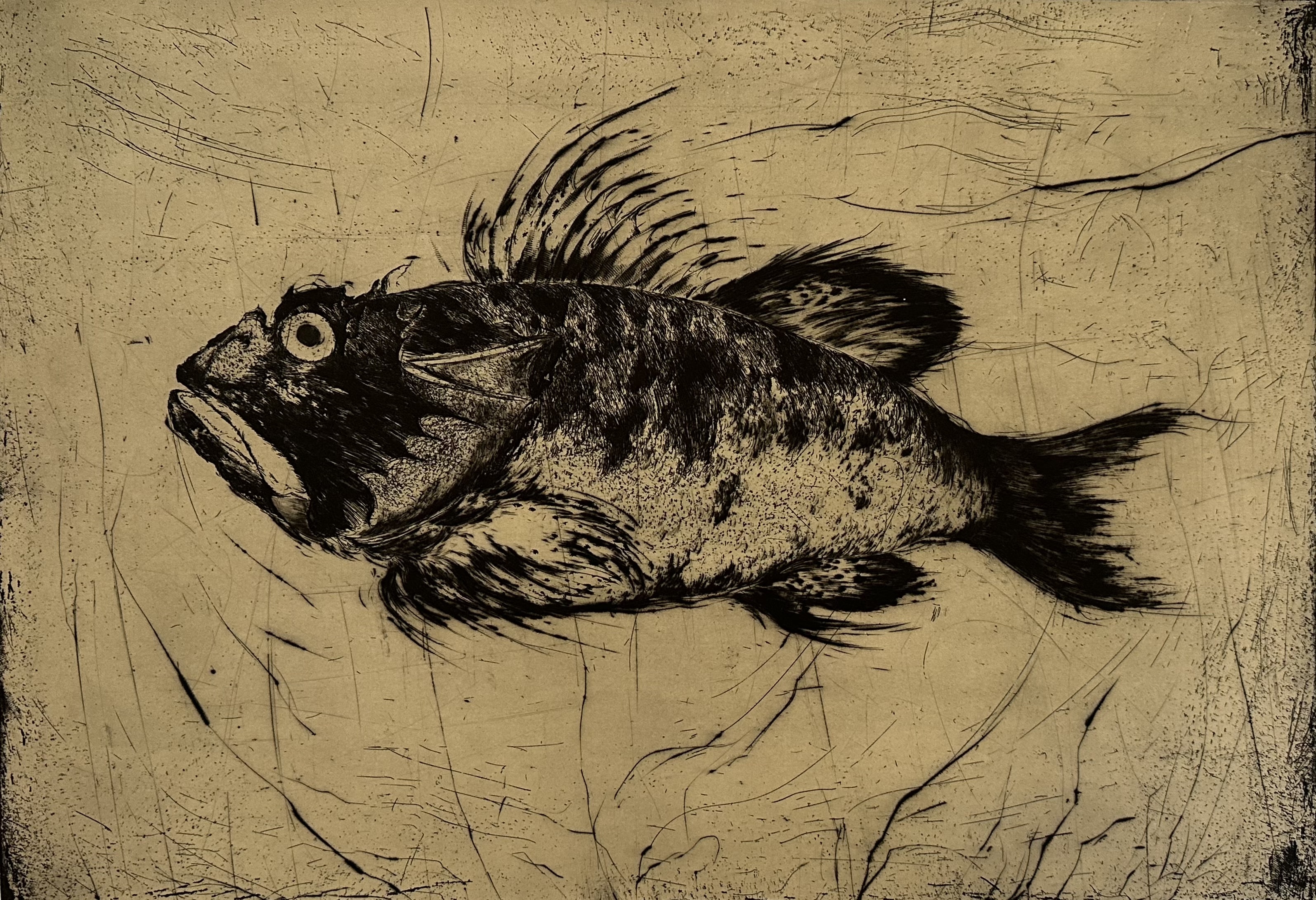 Poisson #3