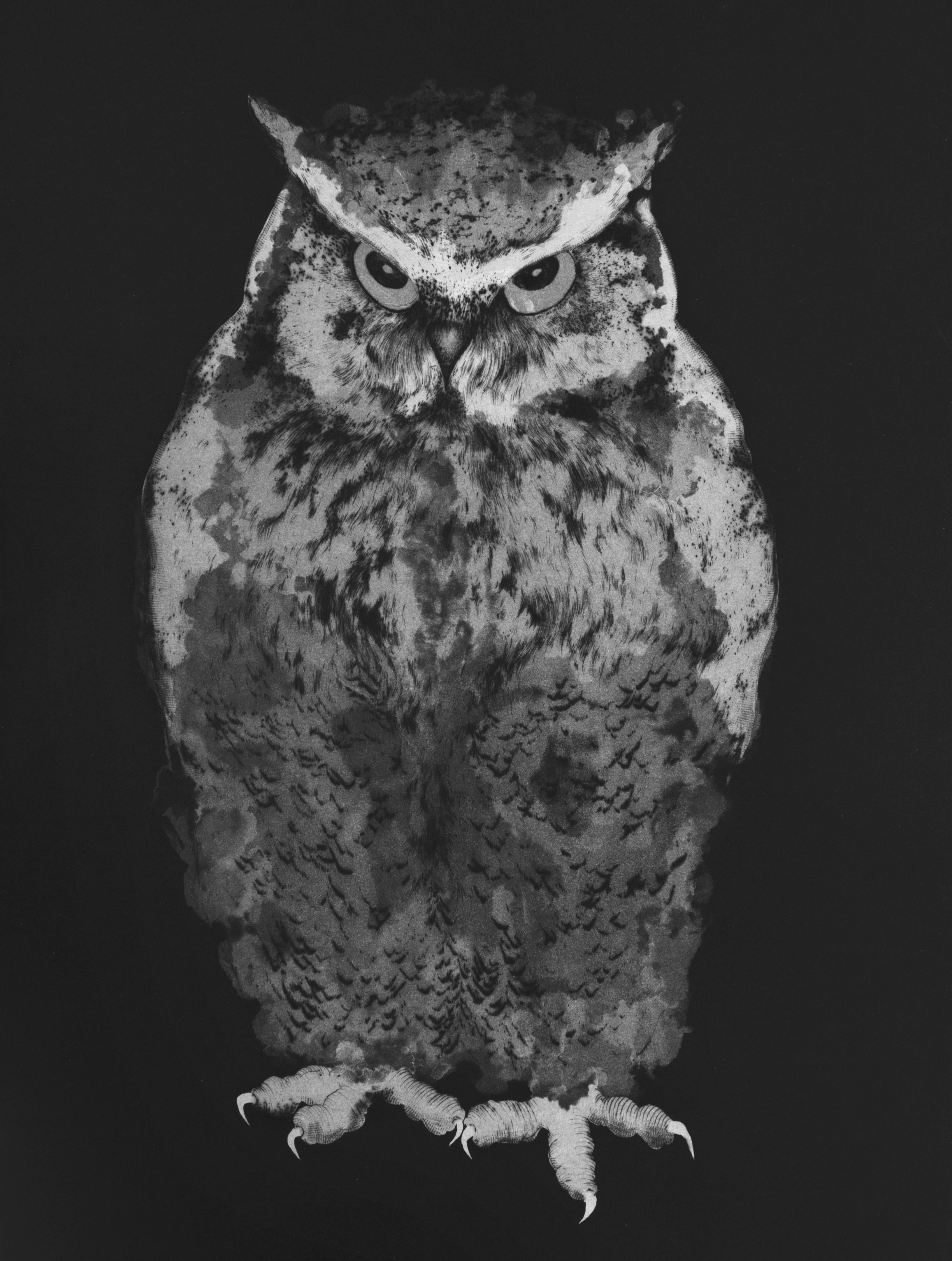 Hibou #4