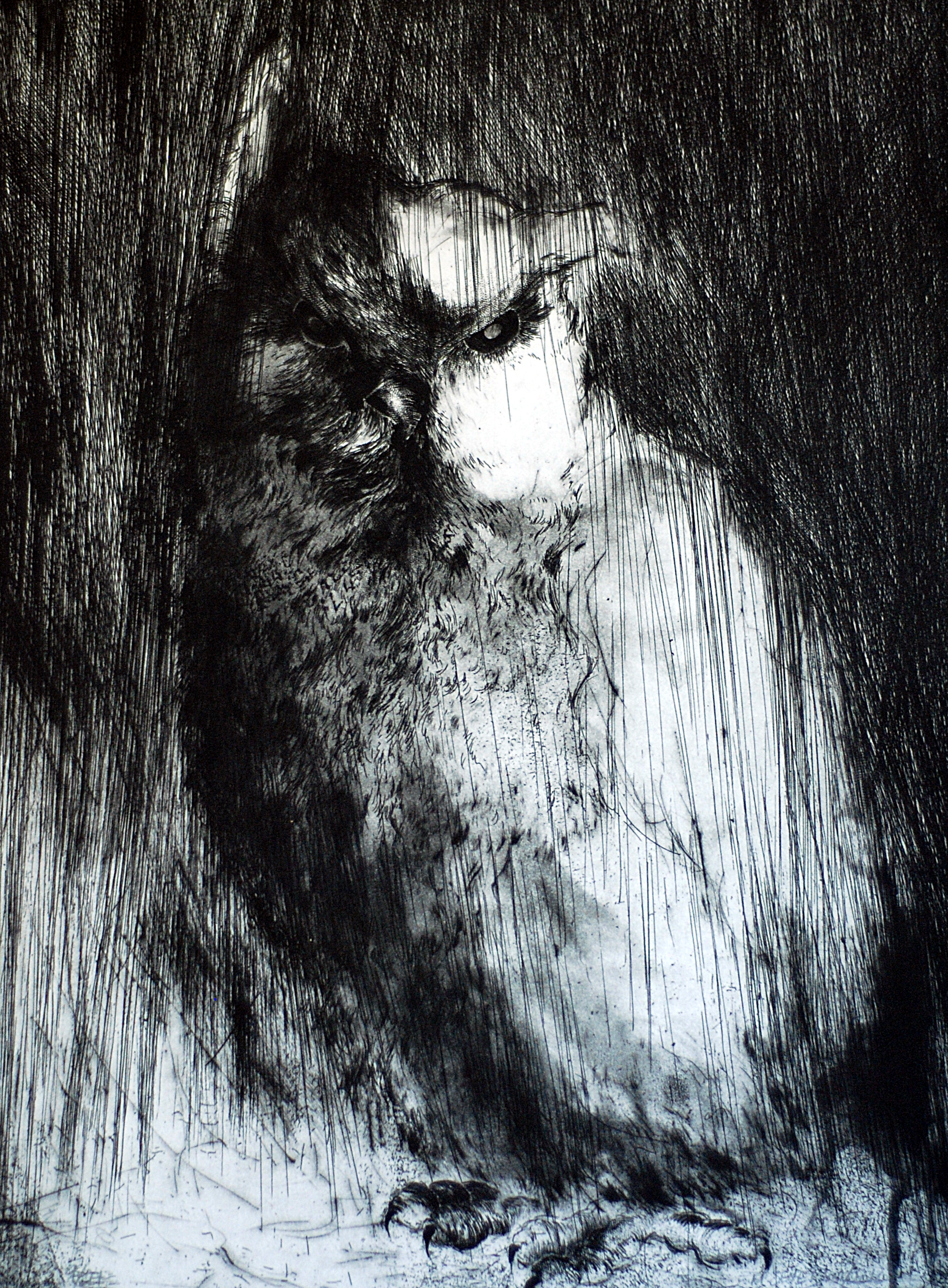 Hibou #9