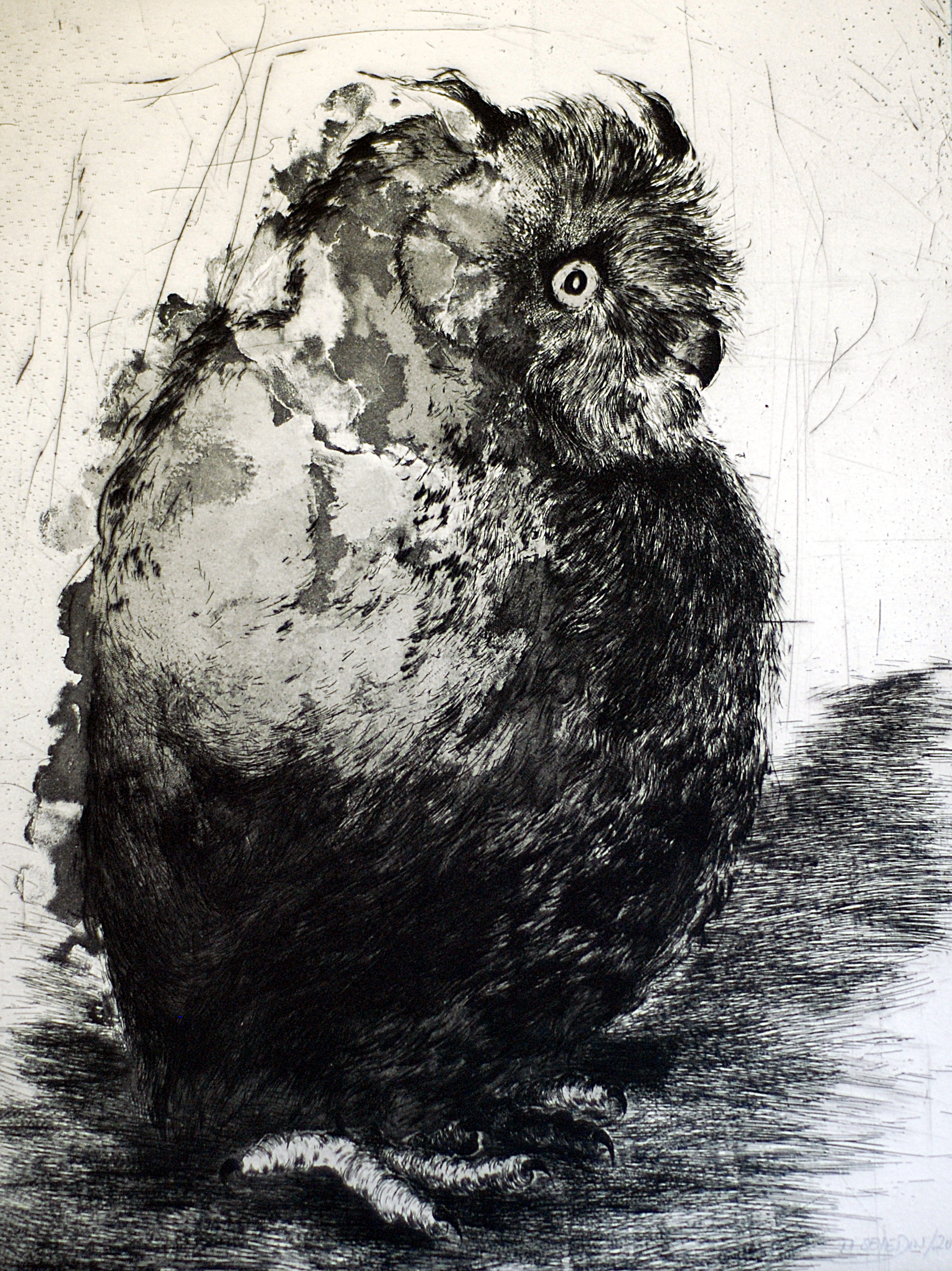 Hibou #10