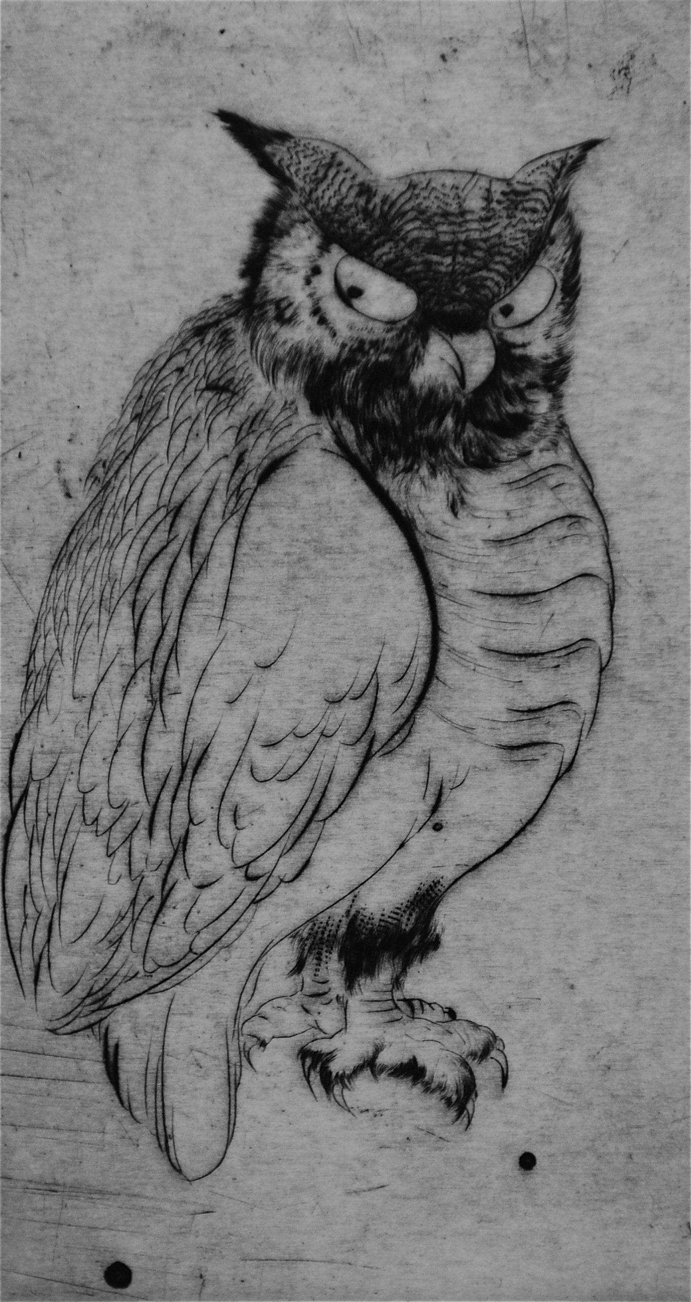 Bird #1