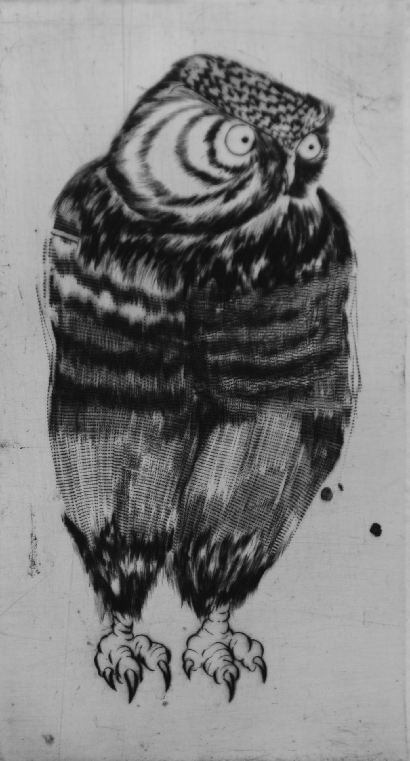 Bird #2