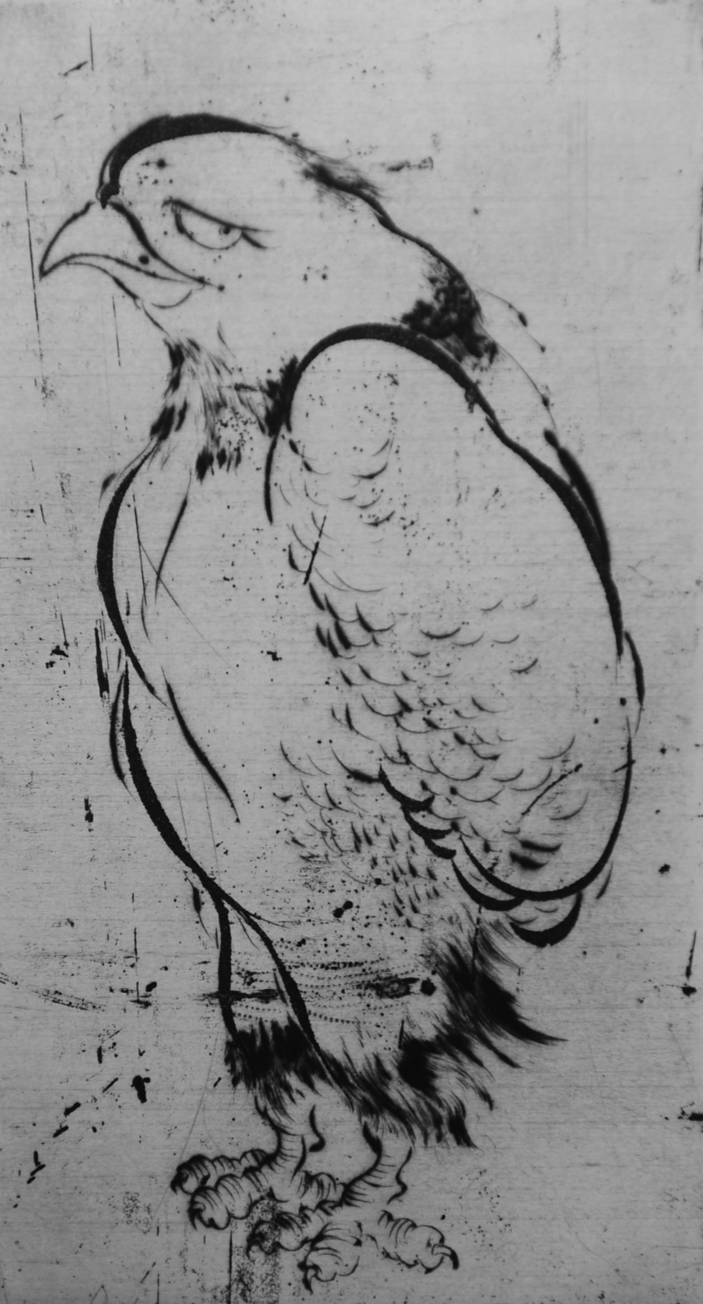 Bird #3