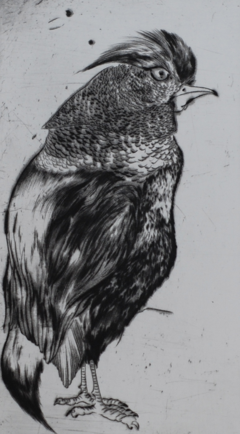 Bird #5