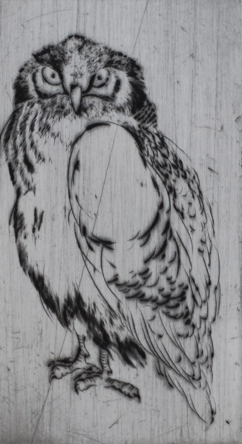 Bird #6