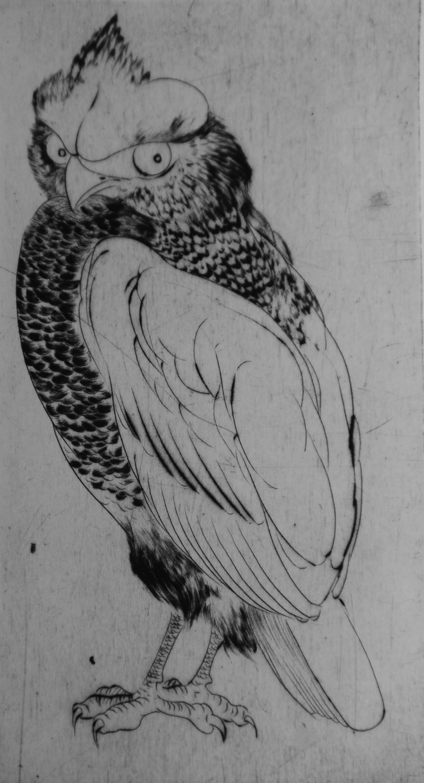Bird #8