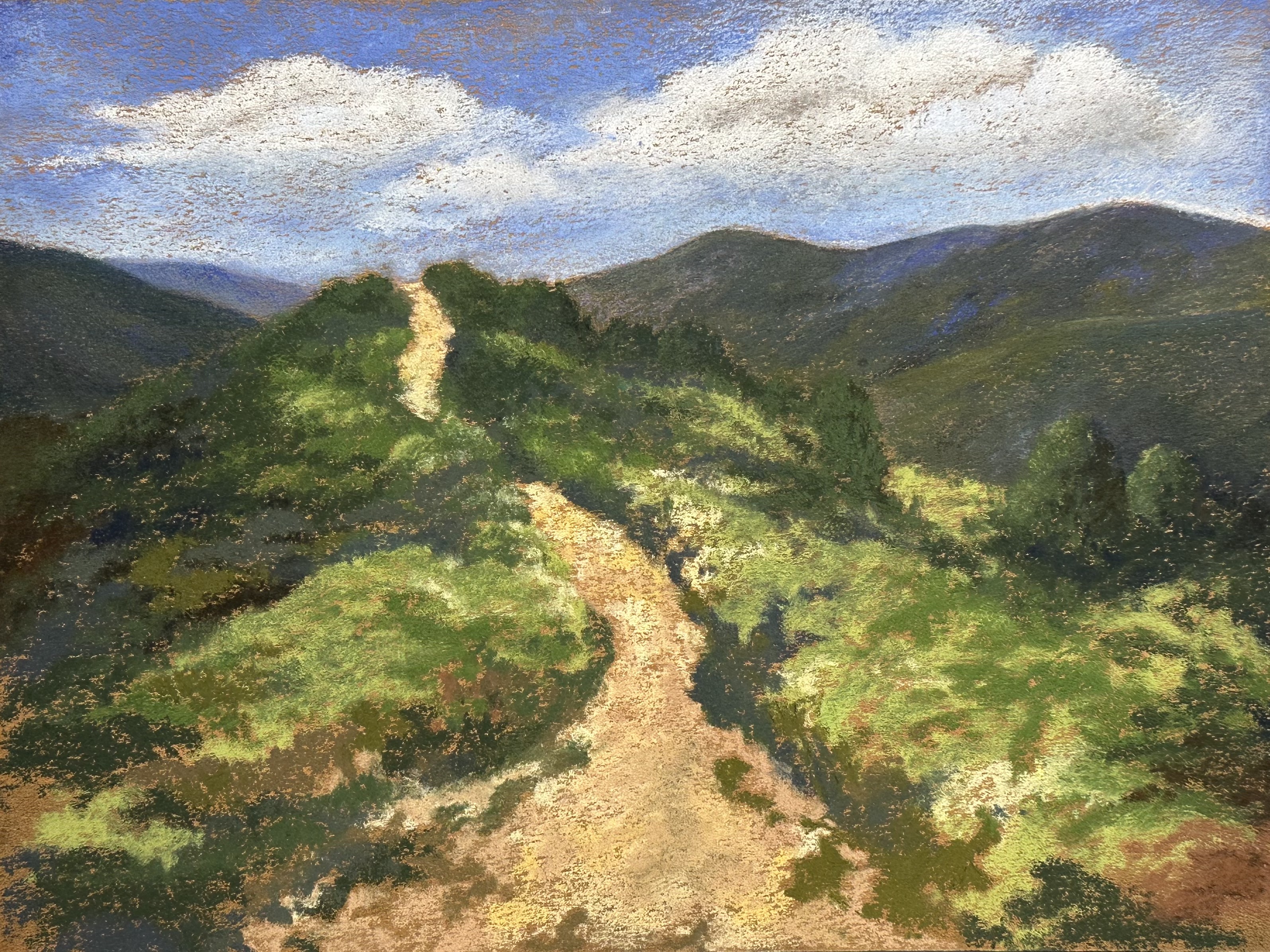 Orange County Hills