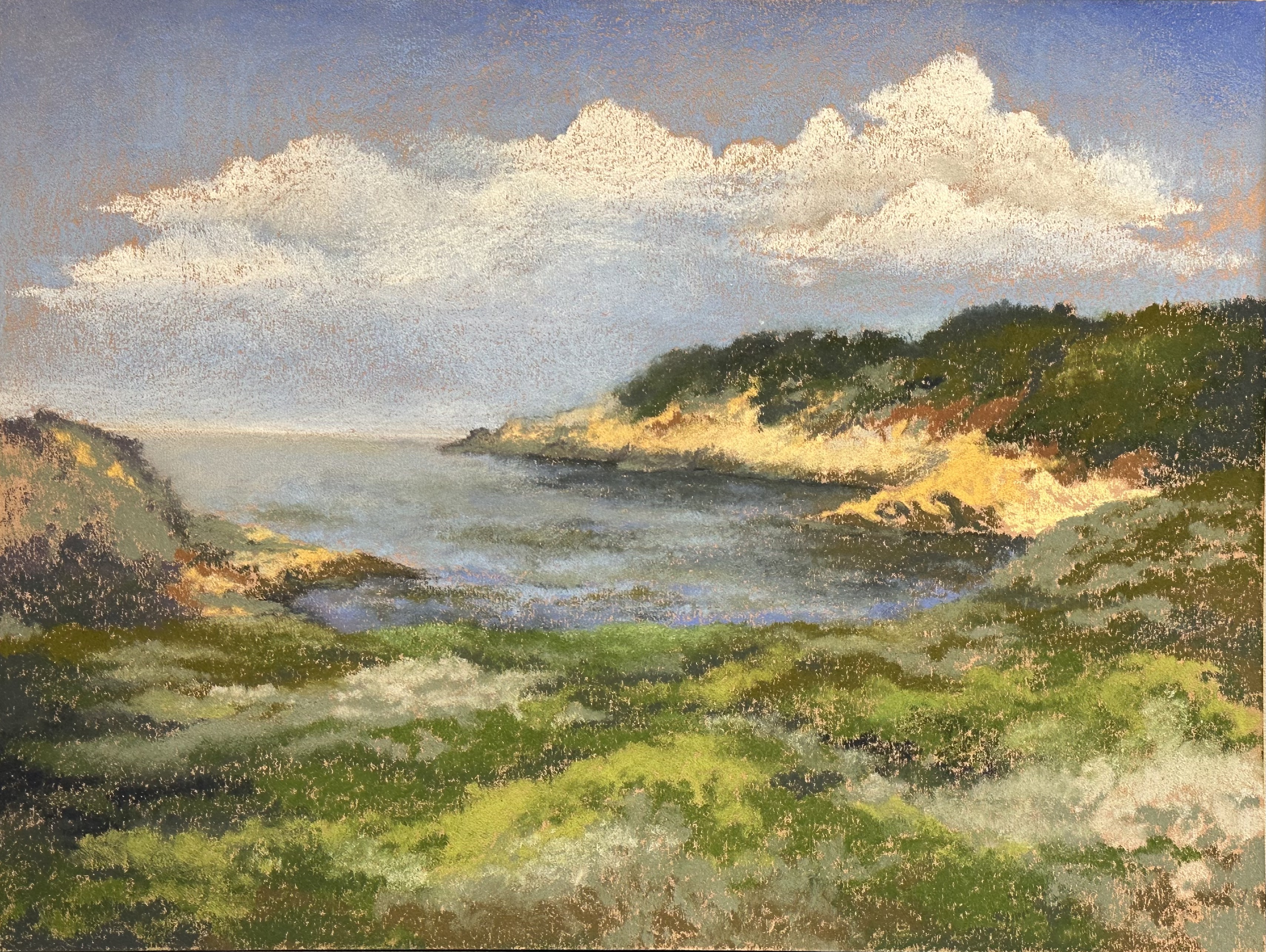 Sur la Route 1 (Point Lobos)