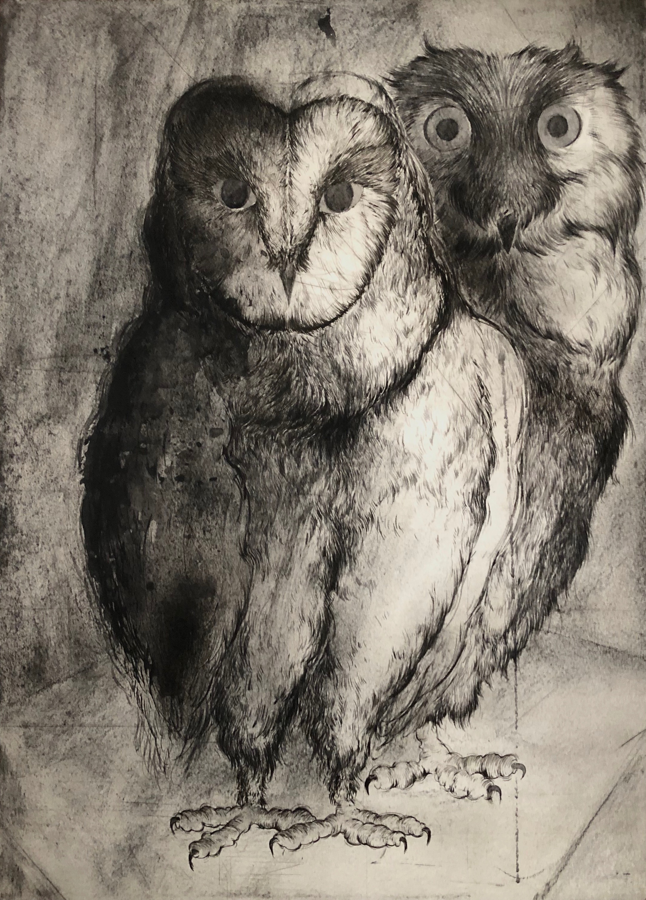 Silent witnesses #2